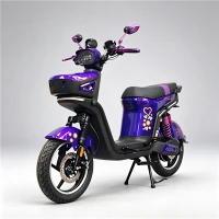 Kapalı Ön Depolama Alanına Sahip Fabrika Doğrudan 1500W Elektrikli Motosiklet
